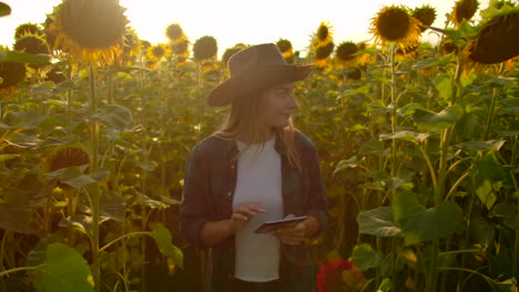 A-young-girl-in-a-straw-hat-and-plaid-shirt-is-walking-on-a-field-with-a-lot-of-big-sunflowers-in-summer-day-and-writes-its-properties-to-her-tablet-for-scientific-article.